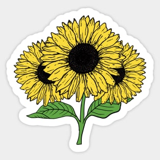 Yellow Sun Flower Hand Drawn Gardening Gift Sticker